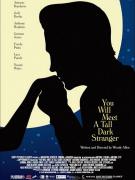 "You will meet a dark stranger"-Woody Allen(hors compétition)